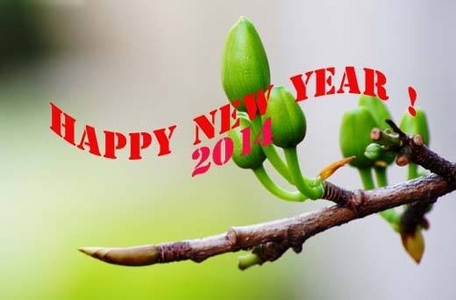 1526945_614721298599684_560622130_n_500