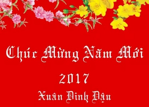 15726649_166086063871396_4877926941508132080_n_500